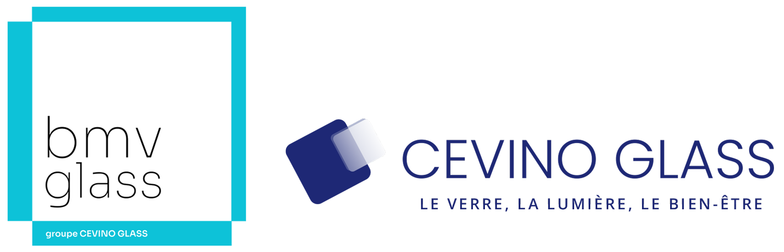 Logo B.M.V.