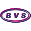 Logo B.V.S