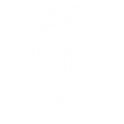 Logo BALMA GYM SPORT SANTE (BALMA GSS)