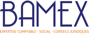 Logo BAMEX