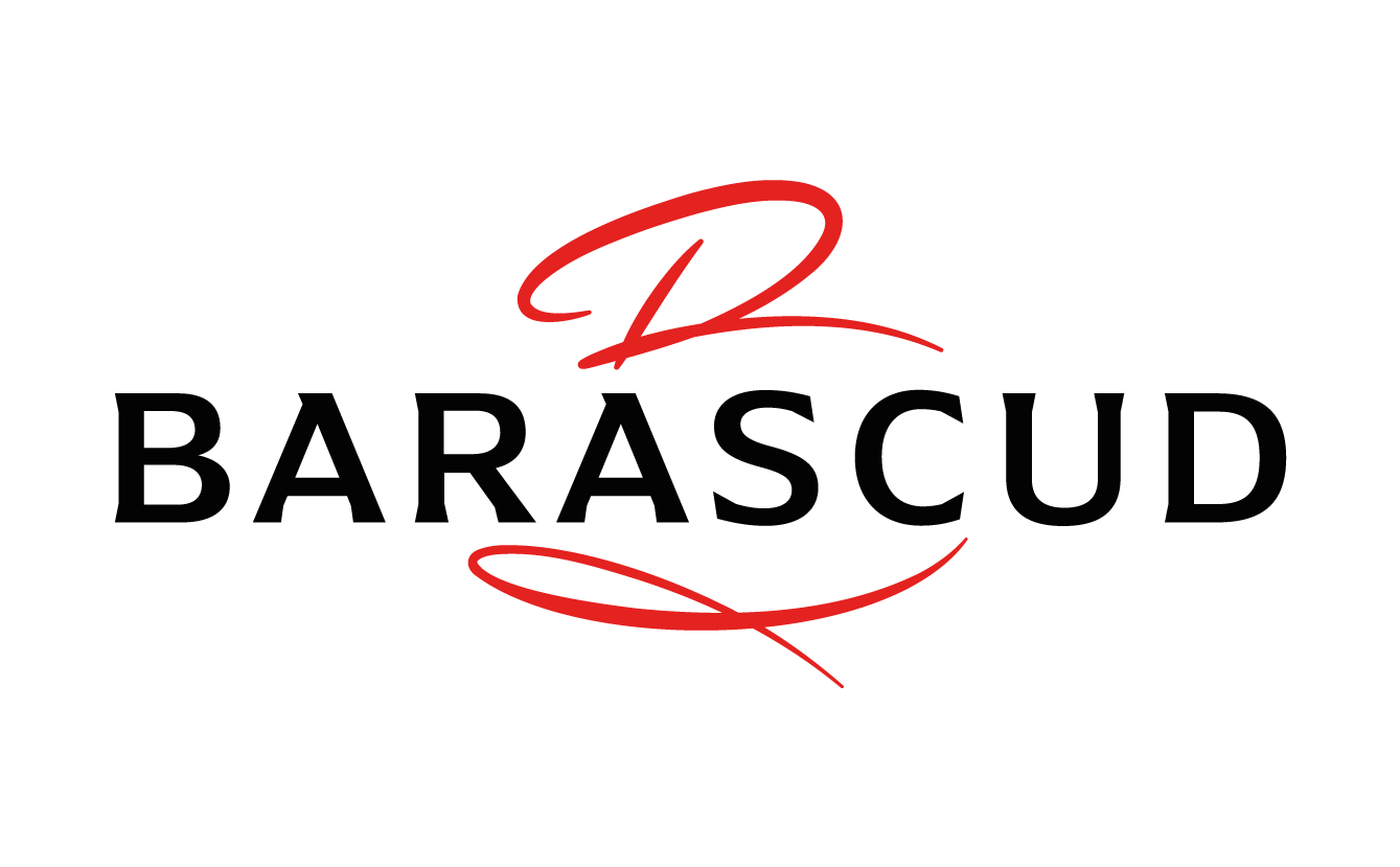 Logo BARASCUD CHEMINEES