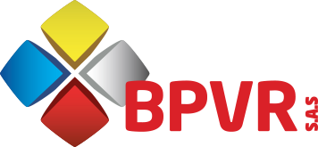 Logo BATIMENT PEINTURE VITRERIE RAVALEMENT (BPVR)