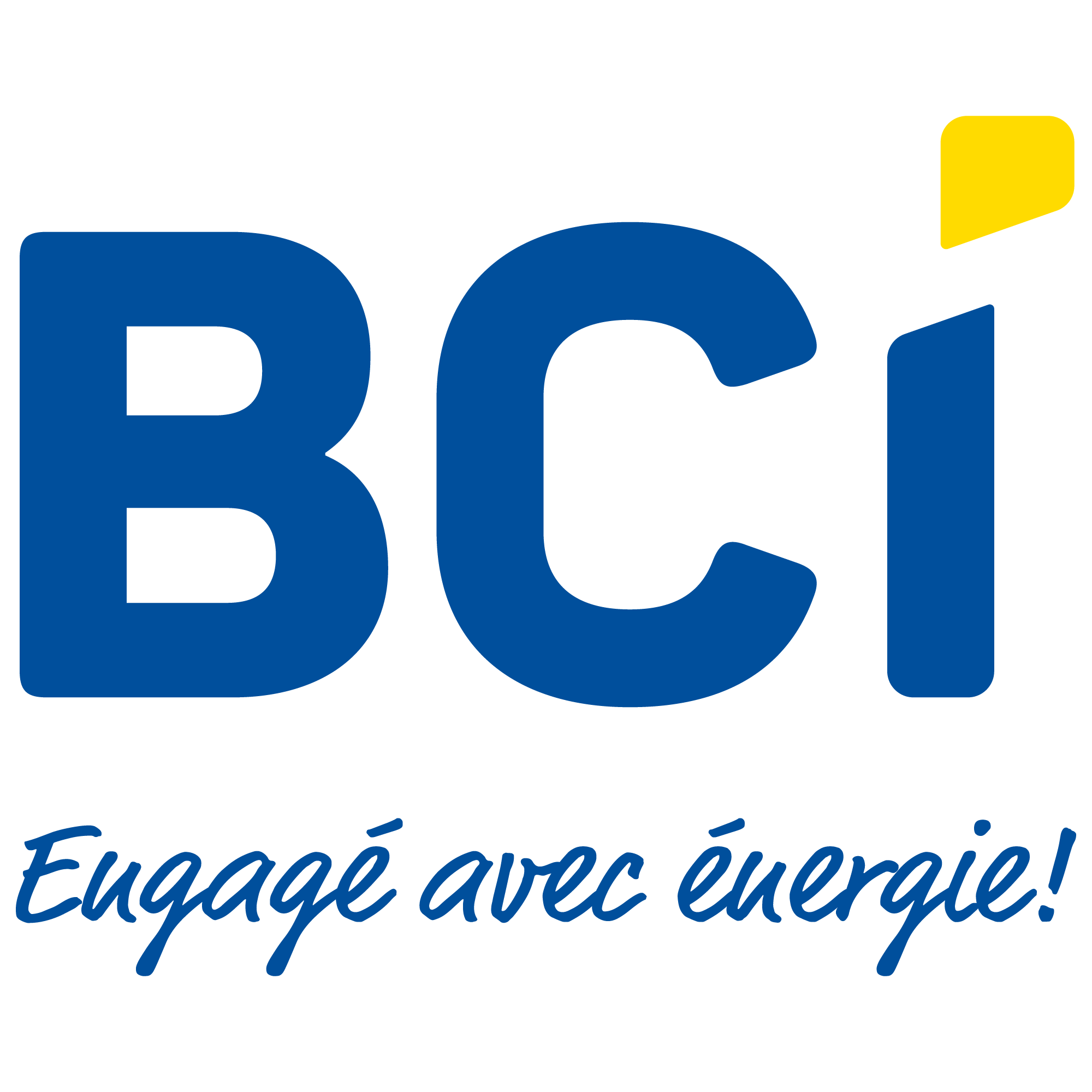 Logo BCI SOLUTIONS