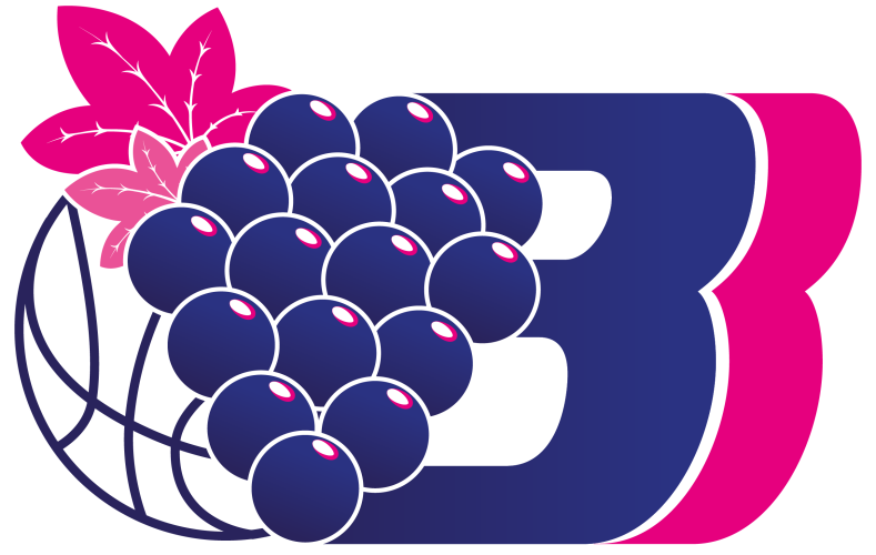 Logo BEAUJOLAIS BASKET
