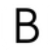 Logo BENLUX LOUVRES