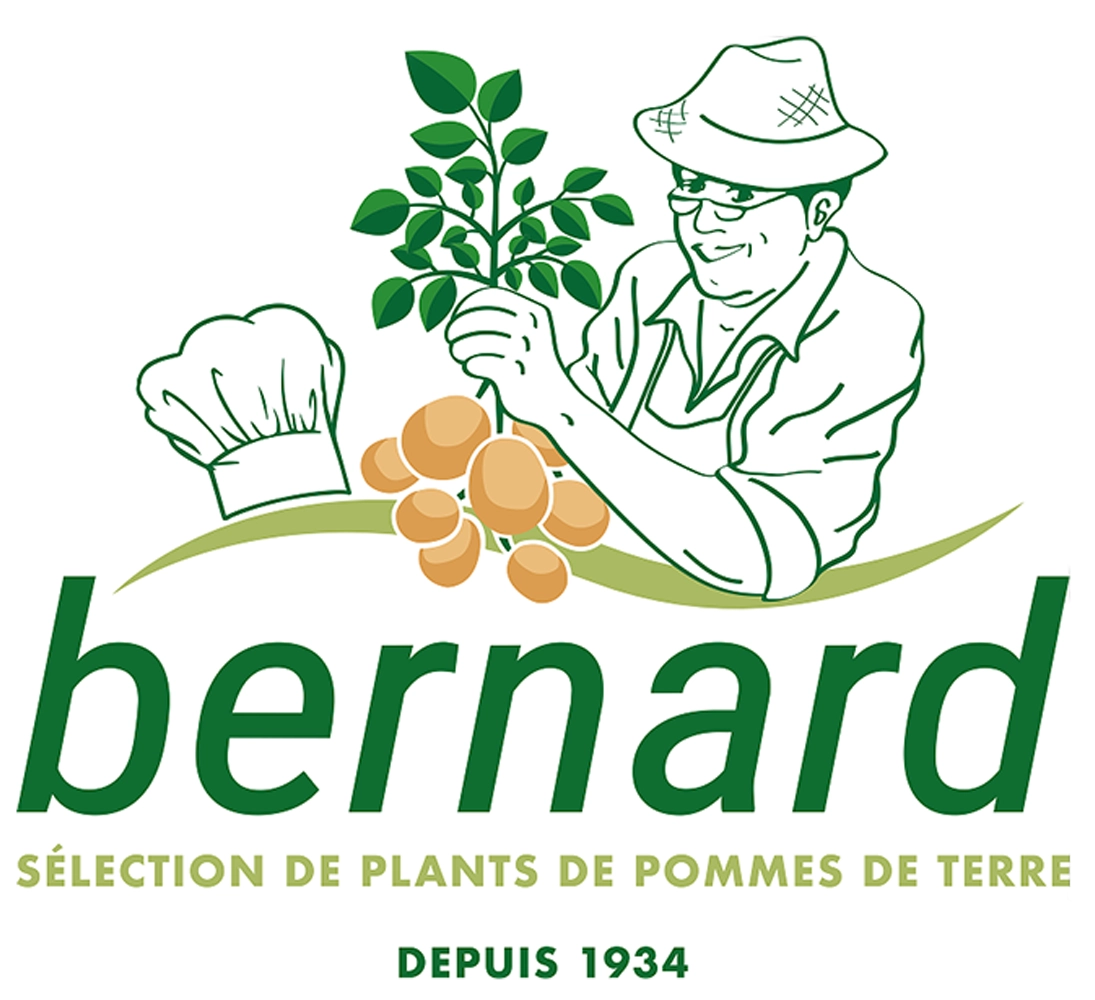 Logo BERNARD