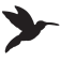 Logo BERNARDIN