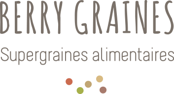 Logo BERRY GRAINES (BERRY GRAINES)