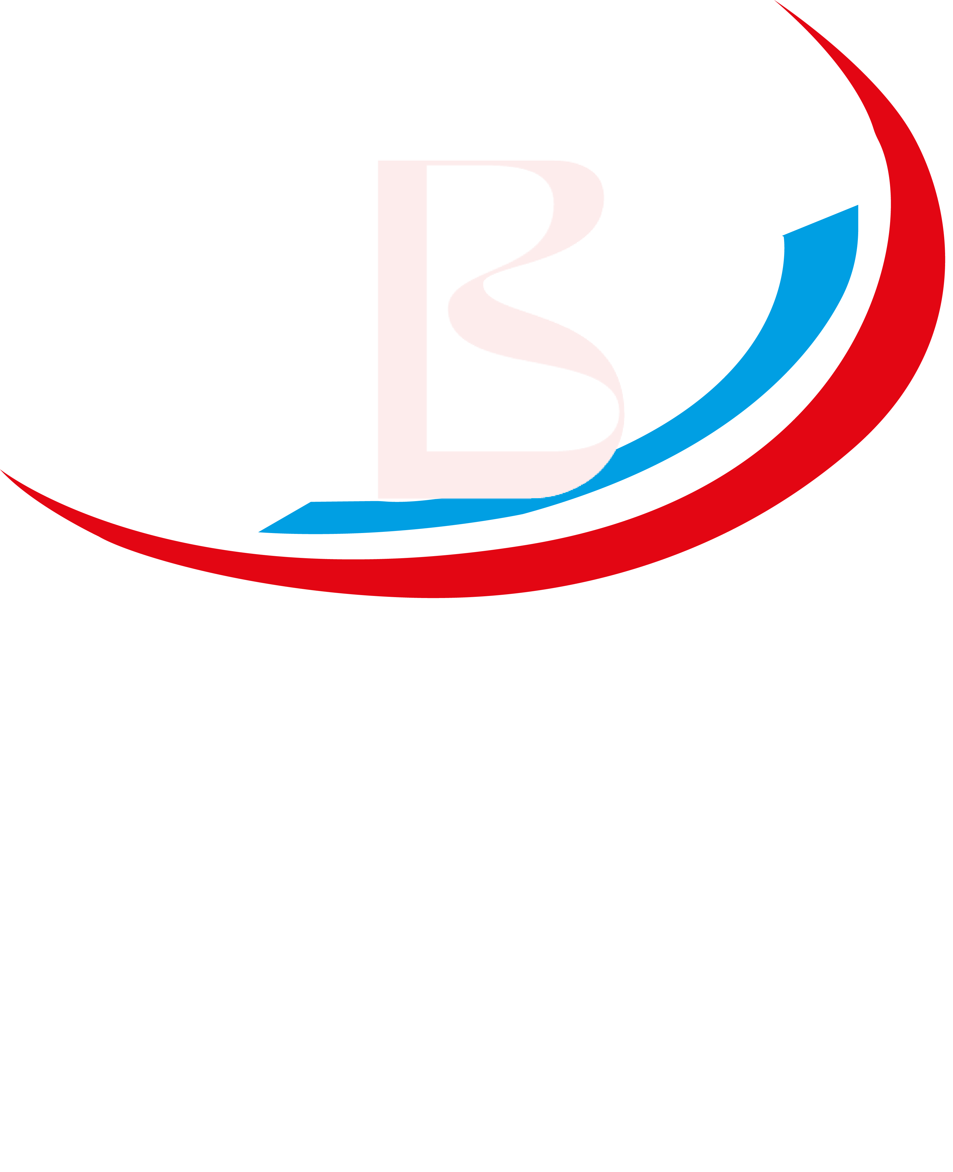 Logo BEST SECURITE INTERVENTION (BSI)