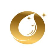 Logo BI'AIN SERVICES (MAJORE DOM')