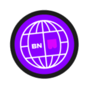 Logo BIG NEURONS