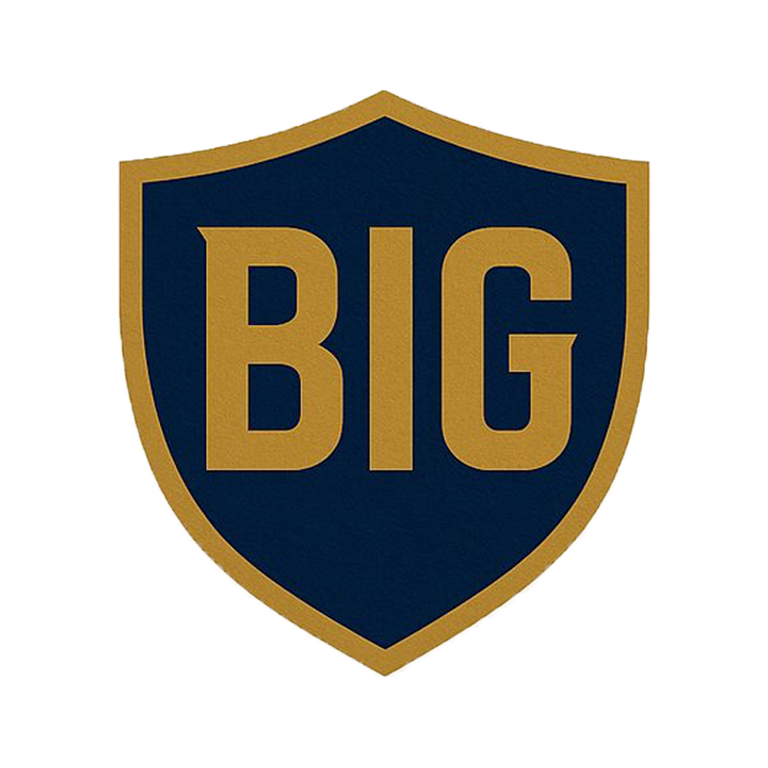 Logo BIG SECURITE PRIVEE