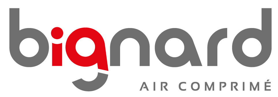 Logo BIGNARD
