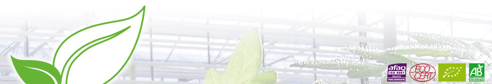 Logo BIOSEM