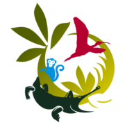 Logo BIOTROPICA