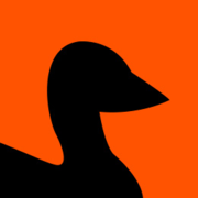 Logo BIRABEN (BIRABEN)