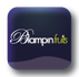 Logo BLAMPIN