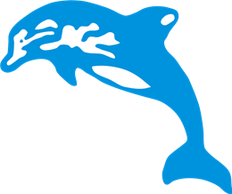 Logo BLANC NETTIS