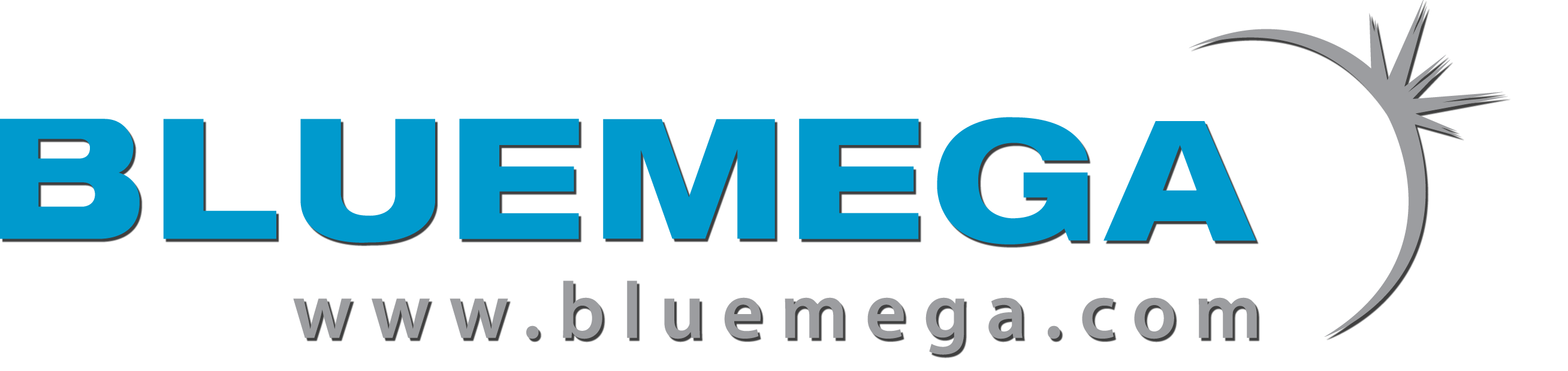 Logo BLUEMEGA
