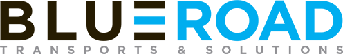 Logo BLUEROAD (BLUEROAD)