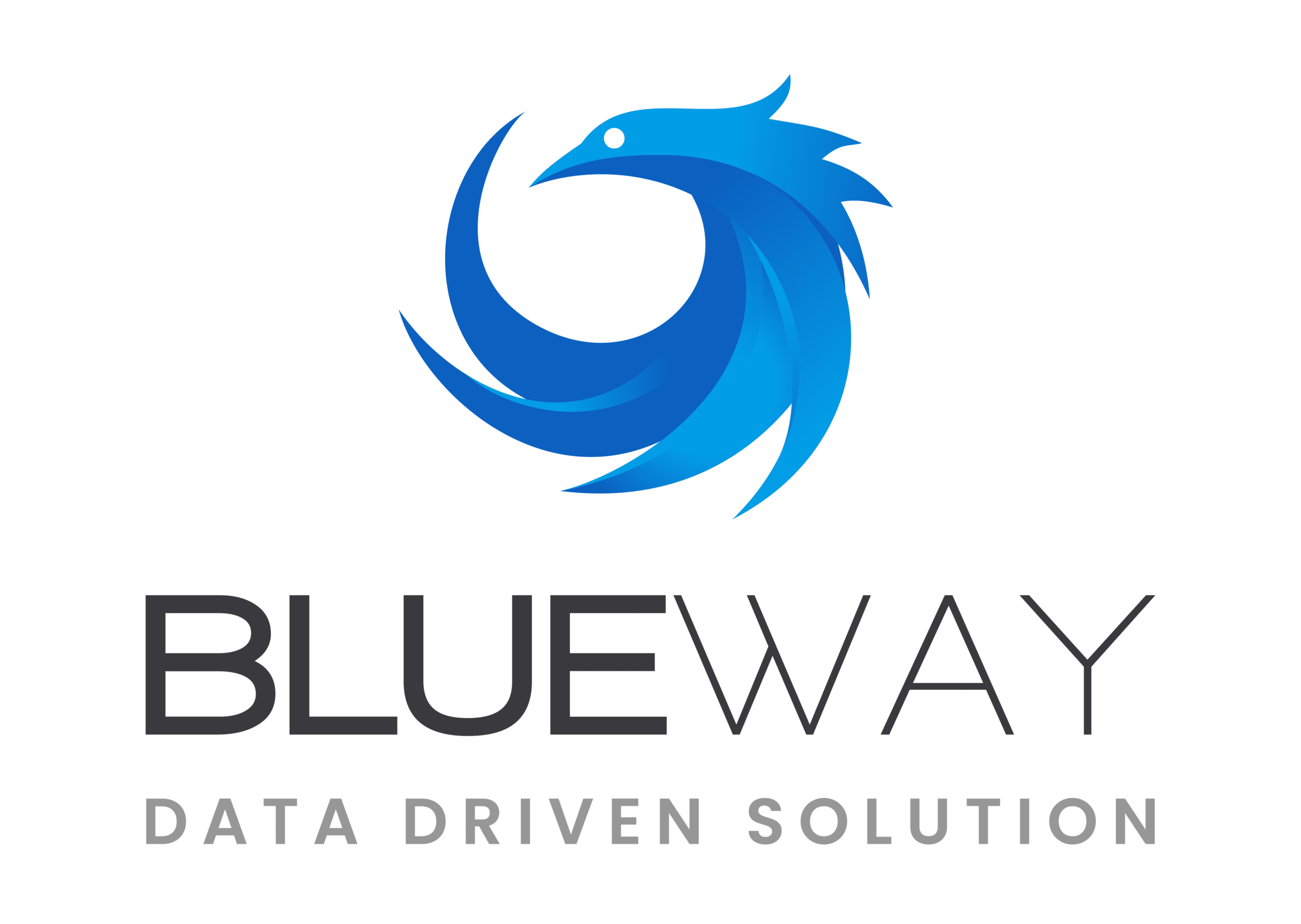 Logo BLUEWAY
