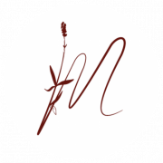 Logo BOHEME