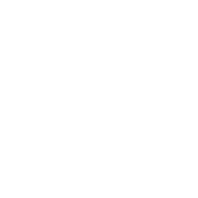 Logo BOLDER ADVISORY