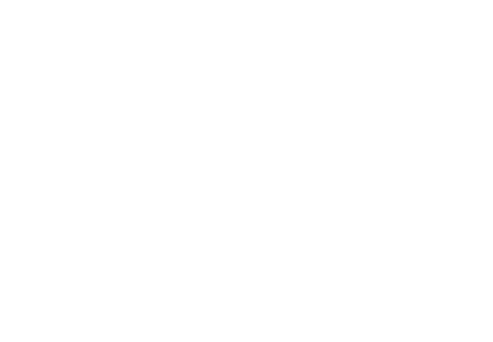 Logo BONDAZ VIANDE