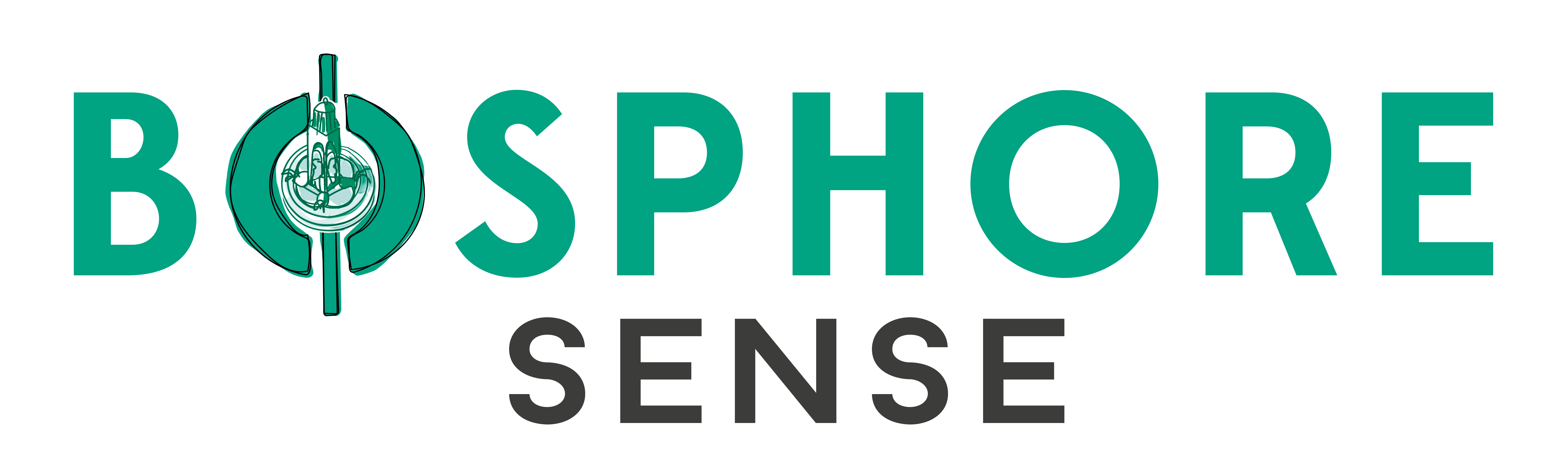 Logo BOSPHORE (BOSPHORE SENSE)