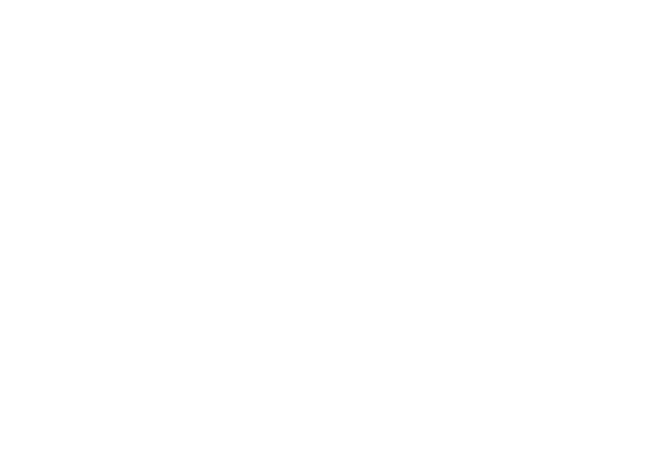 Logo BOUCHERIE DU CENTRE 2