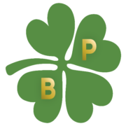 Logo BP INNOV VANNES