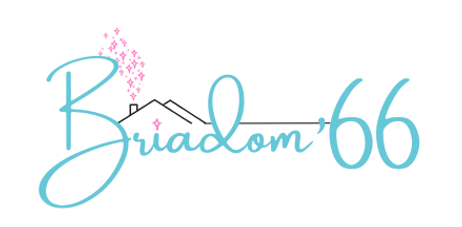 Logo BRIADOM'66