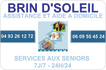 Logo BRIN D'SOLEIL