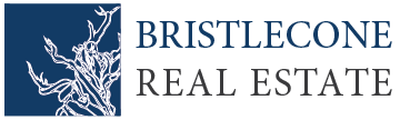 Logo BRISTLECONE