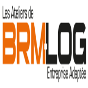 Logo BRM LOG