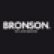 Logo BRONSON (BRONSON TRADE DESIGN)