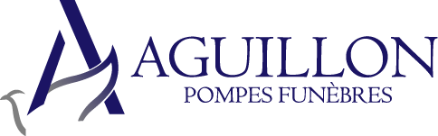 Logo BRUNO AGUILLON