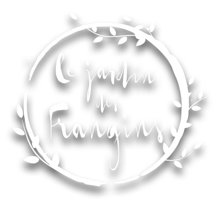 Logo BUFFALON (LES FRANGINS)