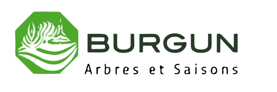 Logo BURGUN ENTREPRISE