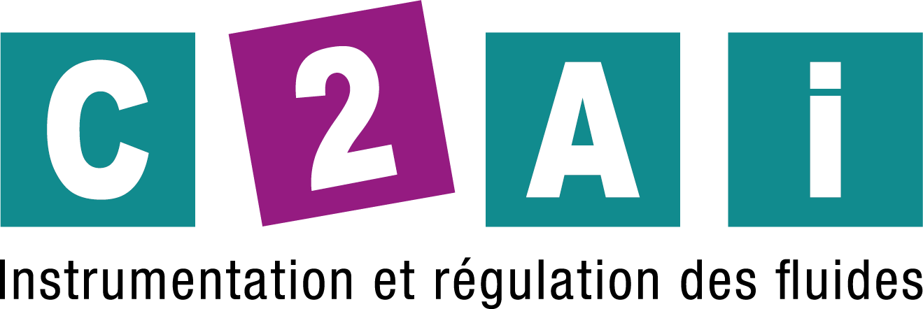 Logo C 2A I (C2AI)