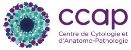 Logo C.CAP
