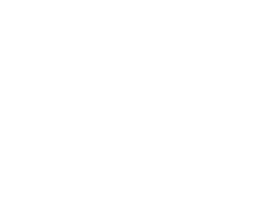 Logo C LOG