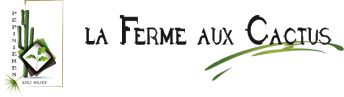 Logo CACTUS