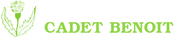 Logo CADET BENOIT