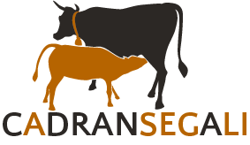 Logo CADRAN SEGALI