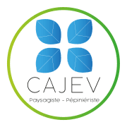 Logo CAJEV SERVICES