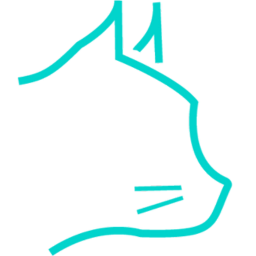 Logo CALI INTELLIGENCES