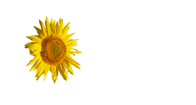 Logo CAMPING LA GRISSE