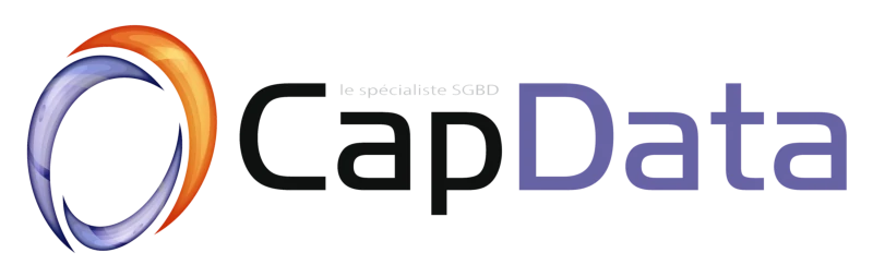 Logo CAP DATA CONSULTING