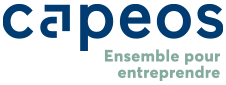 Logo CAPEOS CONSEILS (CAPEOS CONSEILS)